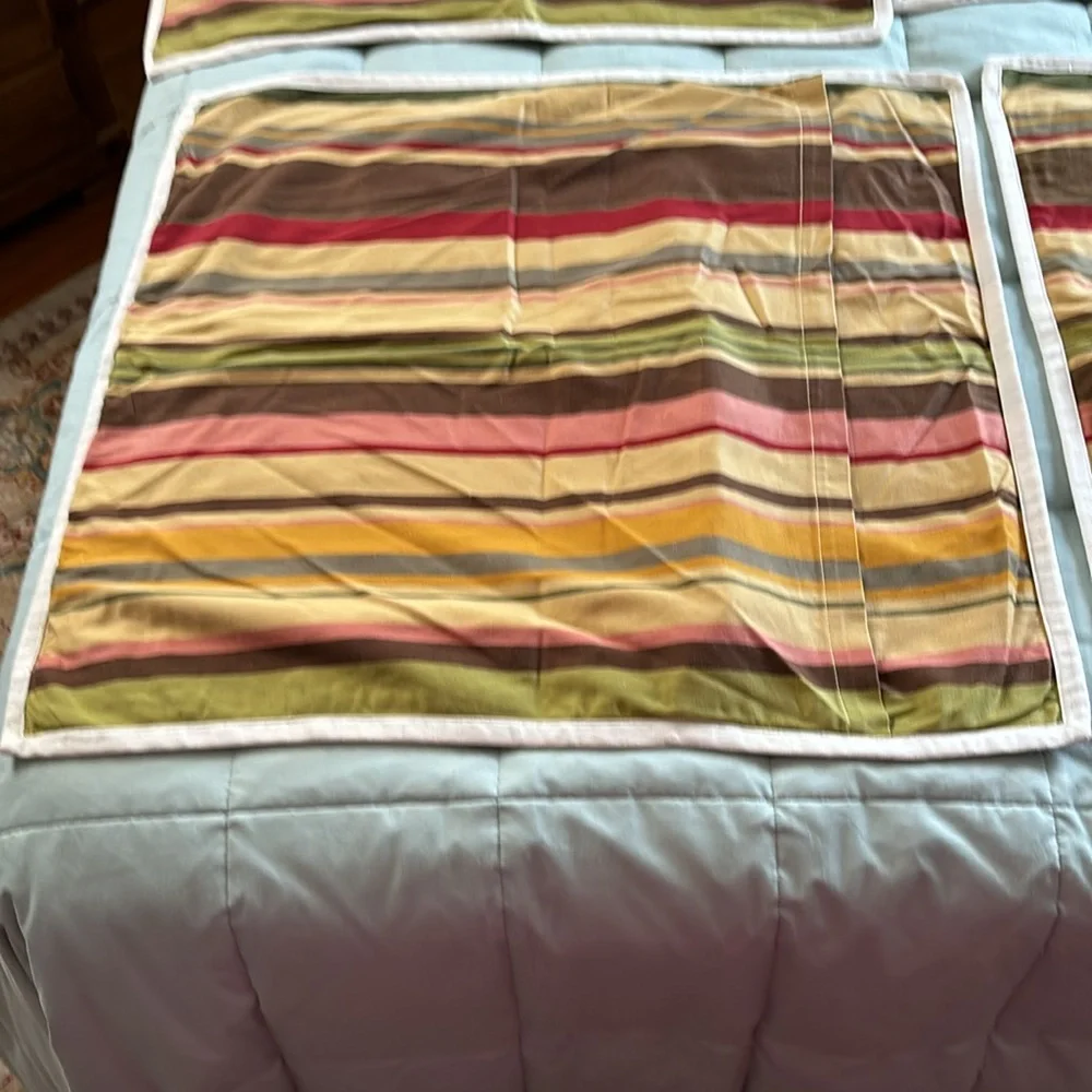 2 Pottery Barn Euro Shams